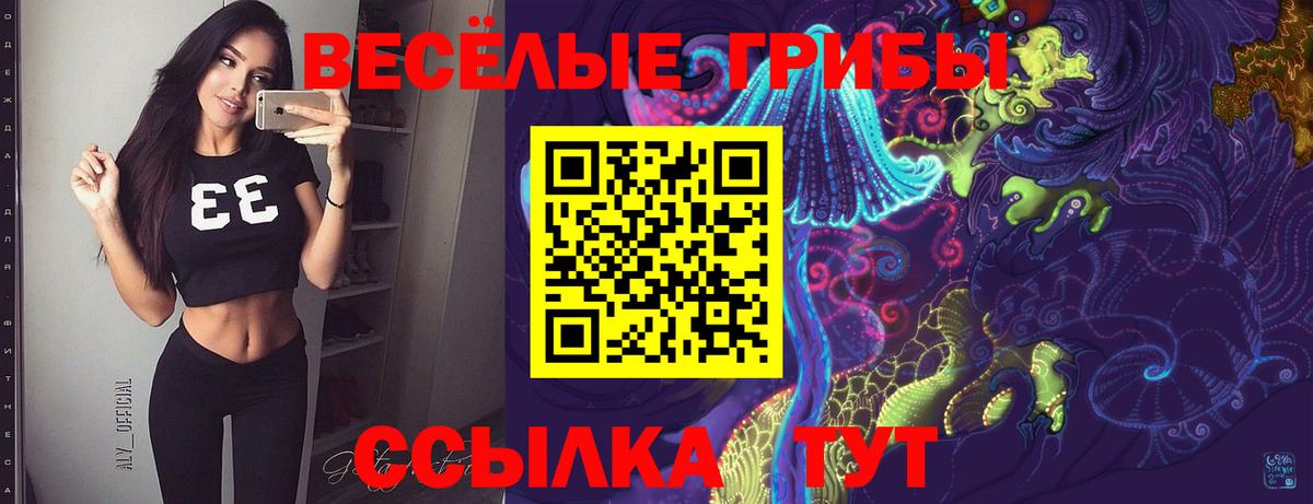 Каменка  Галлюциногенные грибы прущие грибы  Вход с VPN 