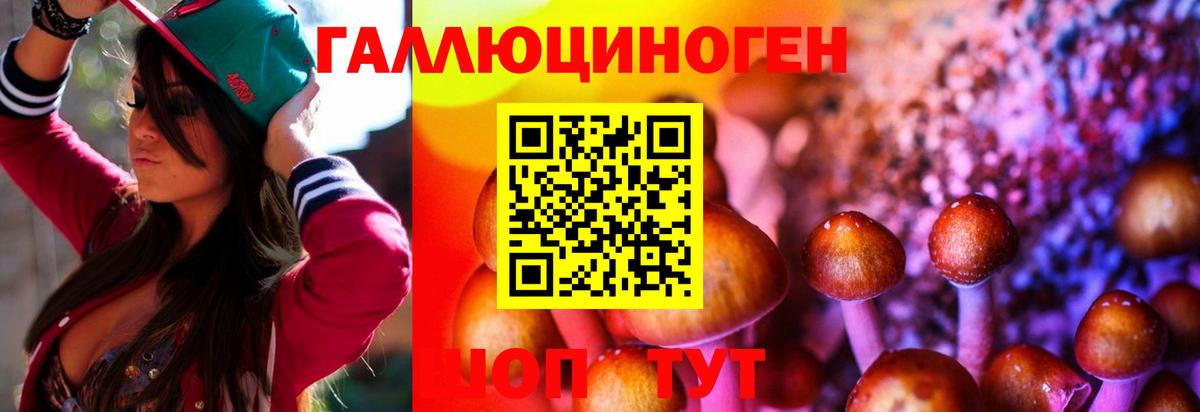 Галлюциногенные грибы MAGIC MUSHROOMS Каменка